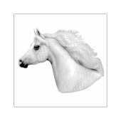 Grijs Arabisch Paard Rubber Stamp Rubberstempel (Afrduk)