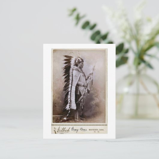 Grijs Beer 1880 Briefkaart (Staand voorkant)