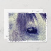  grijs briefkaart (Voorkant / Achterkant)