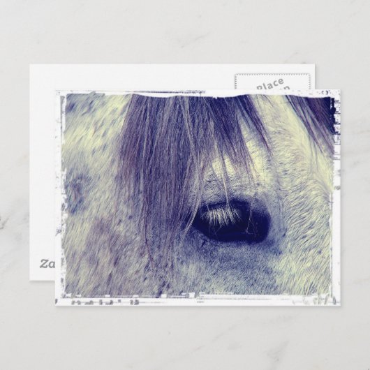 grijs briefkaart (Voorkant / Achterkant)