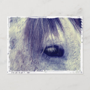 grijs briefkaart