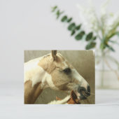 Grijs Briefkaart van het paard Eventing (Staand voorkant)