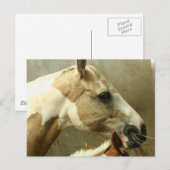 Grijs Briefkaart van het paard Eventing (Voorkant / Achterkant)