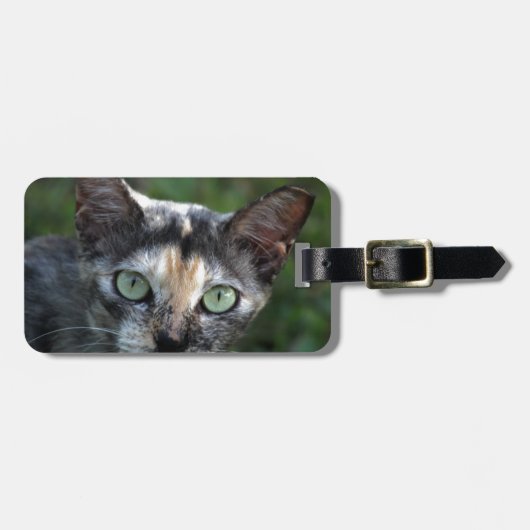 Grijs Bruine Witte Kat met Groene Ogen Bagagelabel (Voorkant horizontaal)