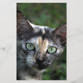 Grijs Bruine Witte Kat met Groene Ogen Briefpapier