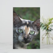 Grijs Bruine Witte Kat met Groene Ogen Briefpapier (Staand voorkant)