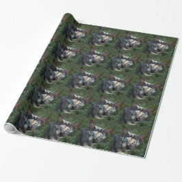Grijs Bruine Witte Kat met Groene Ogen Cadeaupapier