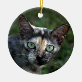 Grijs Bruine Witte Kat met Groene Ogen Keramisch Ornament