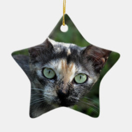 Grijs Bruine Witte Kat met Groene Ogen Keramisch Ornament