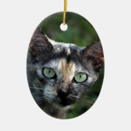 Grijs Bruine Witte Kat met Groene Ogen Keramisch Ornament