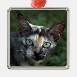 Grijs Bruine Witte Kat met Groene Ogen Metalen Ornament