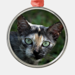 Grijs Bruine Witte Kat met Groene Ogen Metalen Ornament
