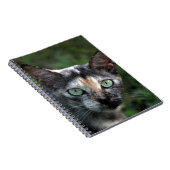 Grijs Bruine Witte Kat met Groene Ogen Notitieboek (Rechterzijde)
