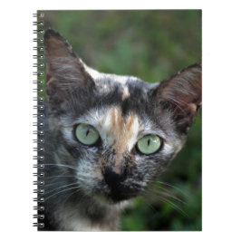 Grijs Bruine Witte Kat met Groene Ogen Notitieboek