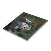 Grijs Bruine Witte Kat met Groene Ogen Tegeltje (Zijkant)