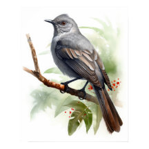 Grijs Catbird Bird Art Print Poster