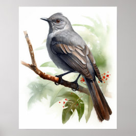 Grijs Catbird Bird Art Print Poster