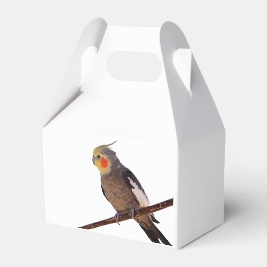 Grijs en Geel Cockatiel Pet Bird Kleur Foto Bedankdoosjes (Voorkant Zijde)