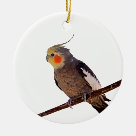 Grijs en Geel Cockatiel Pet Bird Kleur Foto Keramisch Ornament (Voorkant)