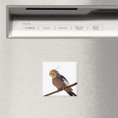 Grijs en Geel Cockatiel Pet Bird Kleur Foto Magneet (Insitu (Vaatwasser))
