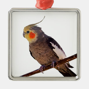 Grijs en Geel Cockatiel Pet Bird Kleur Foto Metalen Ornament