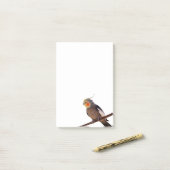Grijs en Geel Cockatiel Pet Bird Kleur Foto Post-it® Notes (Op bureau)