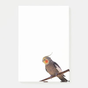 Grijs en Geel Cockatiel Pet Bird Kleur Foto Post-it® Notes
