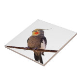 Grijs en Geel Cockatiel Pet Bird Kleur Foto Tegeltje (Zijkant)