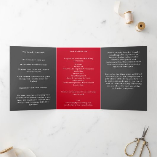 Grijs en Rood Bedrijf Tri Fold Brochure Drieluik Kaart (Binnen)