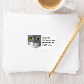 Grijs en wit Kat Gebied Etiket (Insitu)