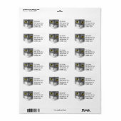 Grijs en wit Kat Gebied Etiket (Full Sheet)