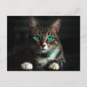 Grijs en wit katje met blauwe ogen en een matchend briefkaart (Voorkant)