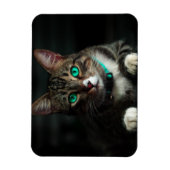 Grijs en wit katje met blauwe ogen en een matchend magneet (Verticaal)