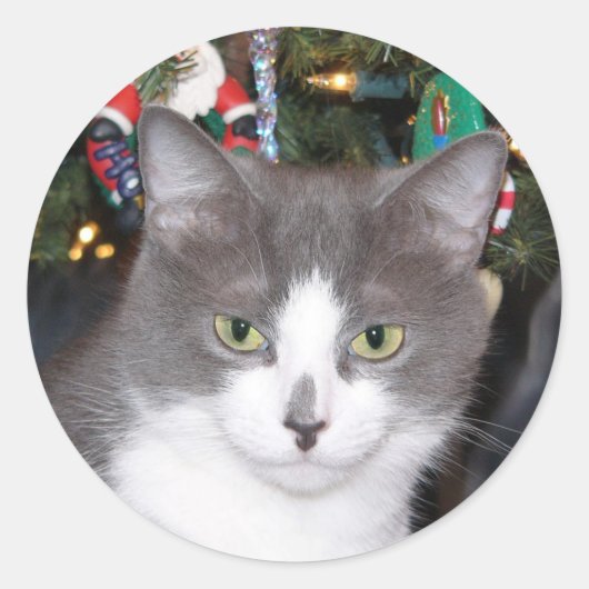 Grijs en wit Kerst kat Ronde Sticker (Voorkant)