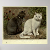 grijs en wit, korrelig kattenschilderij poster (Voorkant)