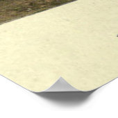  grijs en wit, korrelig kattenschilderij poster (Hoek)