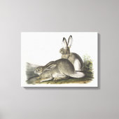 Grijs en wit Man & Vrouw Hare Digital Art Canvas Afdruk (Voorkant)