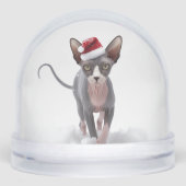Grijs en Wit Sphynx Kat Kerstmis Sneeuwbol (Voorkant)