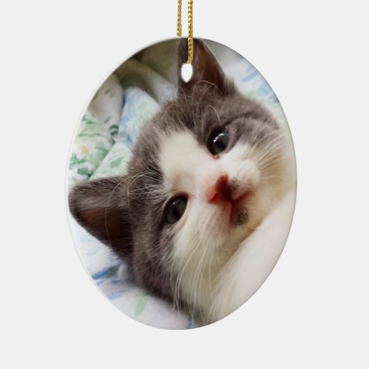 Grijs en Witte Keuten Ornament (Rechts)