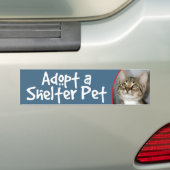 Grijs (grijs) tablet van Kitten Bumpersticker (Op auto)