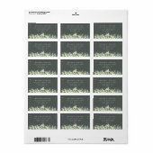 Grijs Groen Snowberry+Eucalyptus Adreslabel Etiket (Full Sheet)