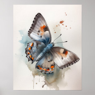 Grijs Hairstreak Butterfly Art Print Poster