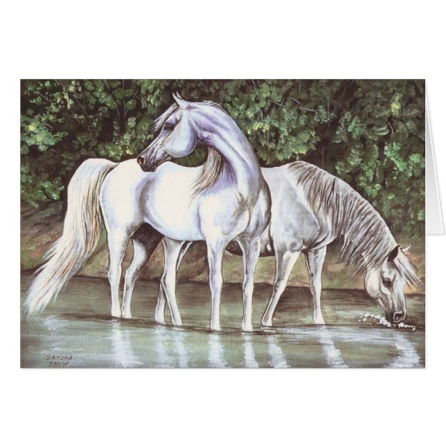 Grijs in stroom (Voorkant Horizontaal)