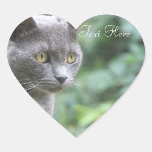 Grijs Kat hart Sticker
