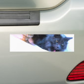 Grijs Kat III van Kerstmis Bumpersticker (Op auto)