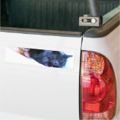 Grijs Kat III van Kerstmis Bumpersticker (Op Truck)