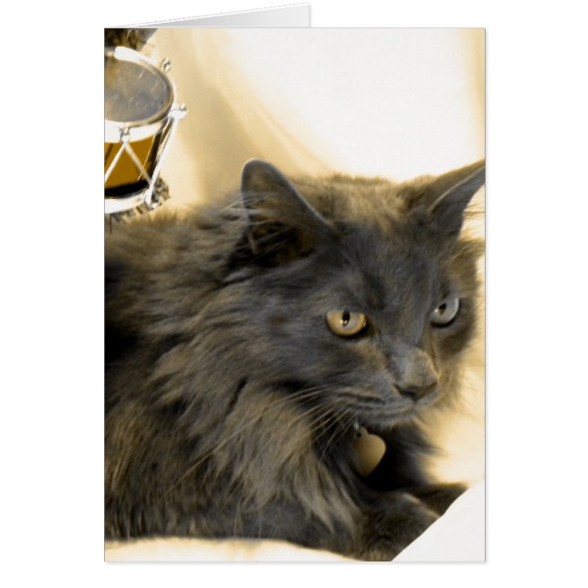 Grijs Kat IIII van Kerstmis (Voorkant)