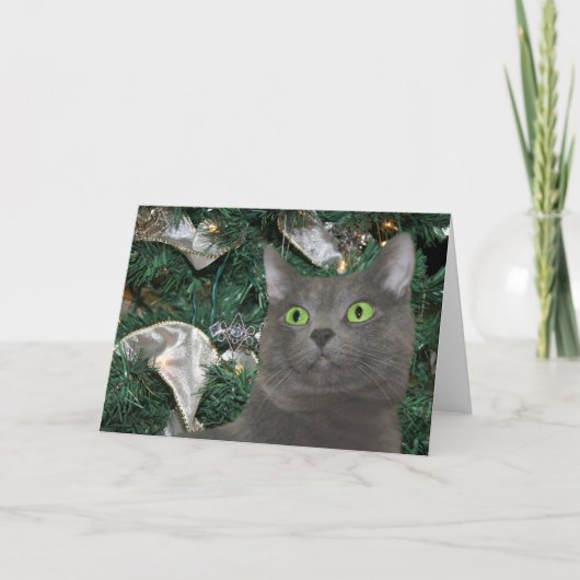 Grijs kat Kerst Feestdagen Kaart (Voorkant)
