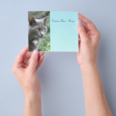 Grijs Kat met blauw Flyer (Hand)