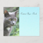 Grijs Kat met blauw Flyer (Achterkant)